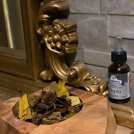 Hotel apartamentowy S